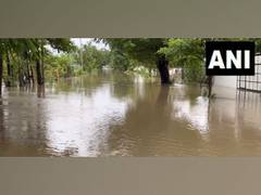 
      
      Persistent downpours create severe waterlogging in Navsari
      
      