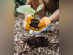 
      
      How do microorganisms aid plant development? Find out
      
      