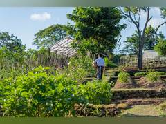 
      
      The Reimagined AYANA Farm at AYANA Estate Reopens July 2023
      
      