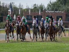 
    Belgium to host UAE President’s Cup World series 
    