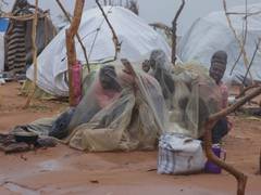 
    Sudan: Rights groups call for investigation against war crimes
    