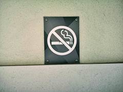 
      
      '40 pc countries now have smoke-free indoor public places'
      
      