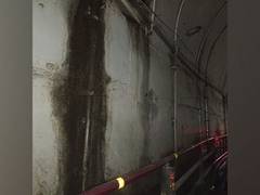
      
      Uttarakhand: Water leakage in Tambakhani tunnel to be examined
      
      