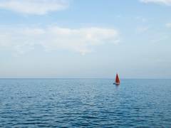 
      
      Mineral iron is important in ocean ecosystems: Study
      
      