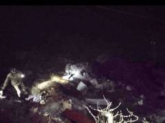 
      
      Over 10 missing after landslide in Rudraprayag, search on
      
      
