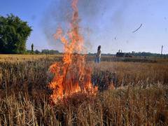 
      
      Aim to achieve zero stubble burning this year: Union Min Tomar
      
      