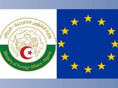 
      
      Algeria, EU call for return of constitutional order in Niger
      
      