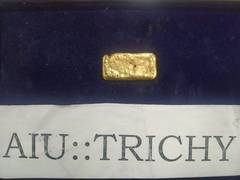 
      
      Tamil Nadu: Gold worth around Rs 12 lakh seized at Trichy Airport
      
      