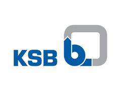 
      
      KSB Limited registers 24.8 per cent sales growth!
      
      