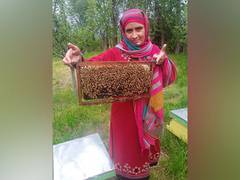 
      
      Empowering Village Women - Asiya Jan's Beekeeping Revolution 
      
      