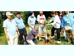
      
      One thousand Amaltas trees planted in Buddha Jayanti Park
      
      