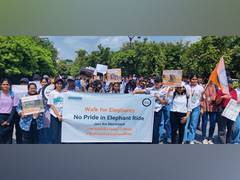 
      
      End Elephant Rides, urges World Animal Protection
      
      
