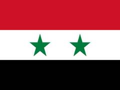 
      
      Syria: Islamic State terrorists increase attacks on govt forces
      
      