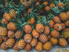
      
      Meghalayan pineapples: A success story from East Garo Hills 
      
      