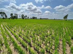 
      
      Bayer, GenZero and Shell collaborate to reduce methane emissions 
      
      