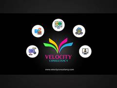 
      
      Velocity Consultancy Bootstrapped Beginnings to growth
      
      