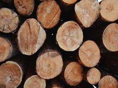 
      
      Pakistan: Kohistan residents allege timber smuggling
      
      