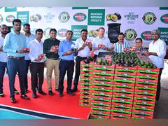 
      
      Launch of the first dedicated avocado ripening facility in India
      
      
