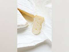 
      
      Researchers identify microbes required to produce mozzarella
      
      