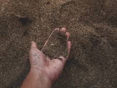 
      
      Did you know soils play key role in keeping planet cool? 
      
      