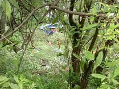 
      
      Uttarakhand: 8 dead, 27 injured after bus falls into gorge
      
      