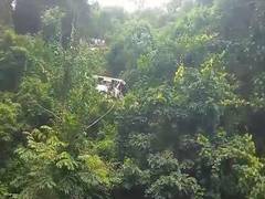 
      
      Andhra: 2 killed, several injured after bus plunges into valley
      
      