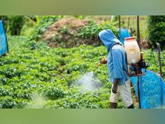 
      
      Study finds spray technique for bioactive materials
      
      