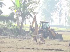 
      
      Centre  likely to issue guidelines for diversion of forest land
      
      