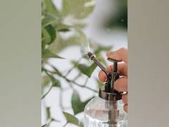 
      
      Study suggests spray method for bioactive materials
      
      