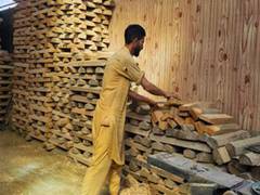
      
      17 International batters to use Kashmir willow bats
      
      