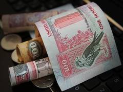 
      
      UN Envoy urges banks to focus on climate transition capital
      
      