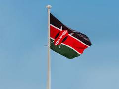
      
      Kenya’s debt level reaches record high: Report
      
      