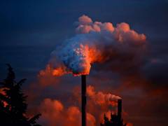 
      
      'Air Pollution cutting life expectancy by 4 years in Pakistan'
      
      