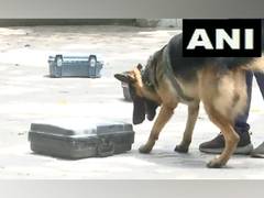 
      
      Delhi Police's Dog squad conduct drills on dummy explosives
      
      