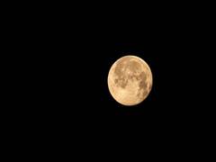 
      
      Get ready to witness 'Once in a Blue Moon' today
      
      