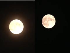 
      
      Super Blue Moon lights up sky
      
      