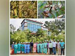 
      
      Bamboo Plants Prove Resilient Amidst Widespread Flowering Crisis
      
      