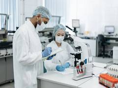 
      
      Anti-leishmaniasis drugs change host cells at molecular level: St
      
      