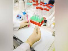 
      
      Specific gene mutations accelerate growth of pancreatic tumours
      
      