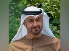 
      
      UAE President receives Armenian Foreign Minister
      
      