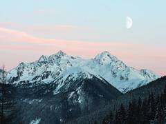 
      
      Climate change may permanently alter mountain forests: Study
      
      