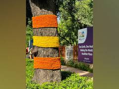 
      
      G20: Trees garlanded with marigold flowers
      
      