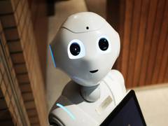 
      
      'Brainless' robot can overcome difficult challenges: Study
      
      