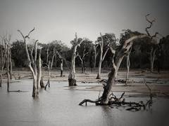 
      
      New super-fast flood model has potential to save lives
      
      
