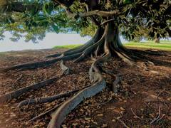 
      
      Contamination residues can still be found in park: Study
      
      