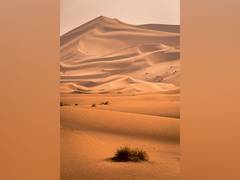 
      
      Researchers discover why, when Sahara Desert was green
      
      
