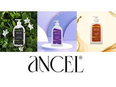 
      
      Ancel Unveils Nature-inspired Haircare and Skincare Products
      
      