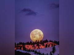 
      
      Earth's electrons may be forming water on Moon: Study
      
      