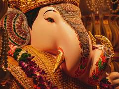 
      
      30-feet tall Ganesha idol installed in Assam's Guwahati
      
      