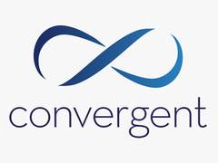 
      
      Funds Advised by Convergent Finance LLP Increase Stake in Camlin 
      
      